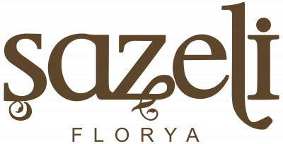 Şazeli Florya